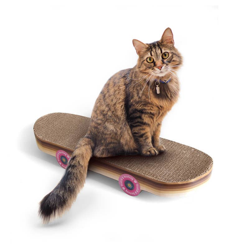 SUCK UK Ltd - Skateboard Cat Scratcher