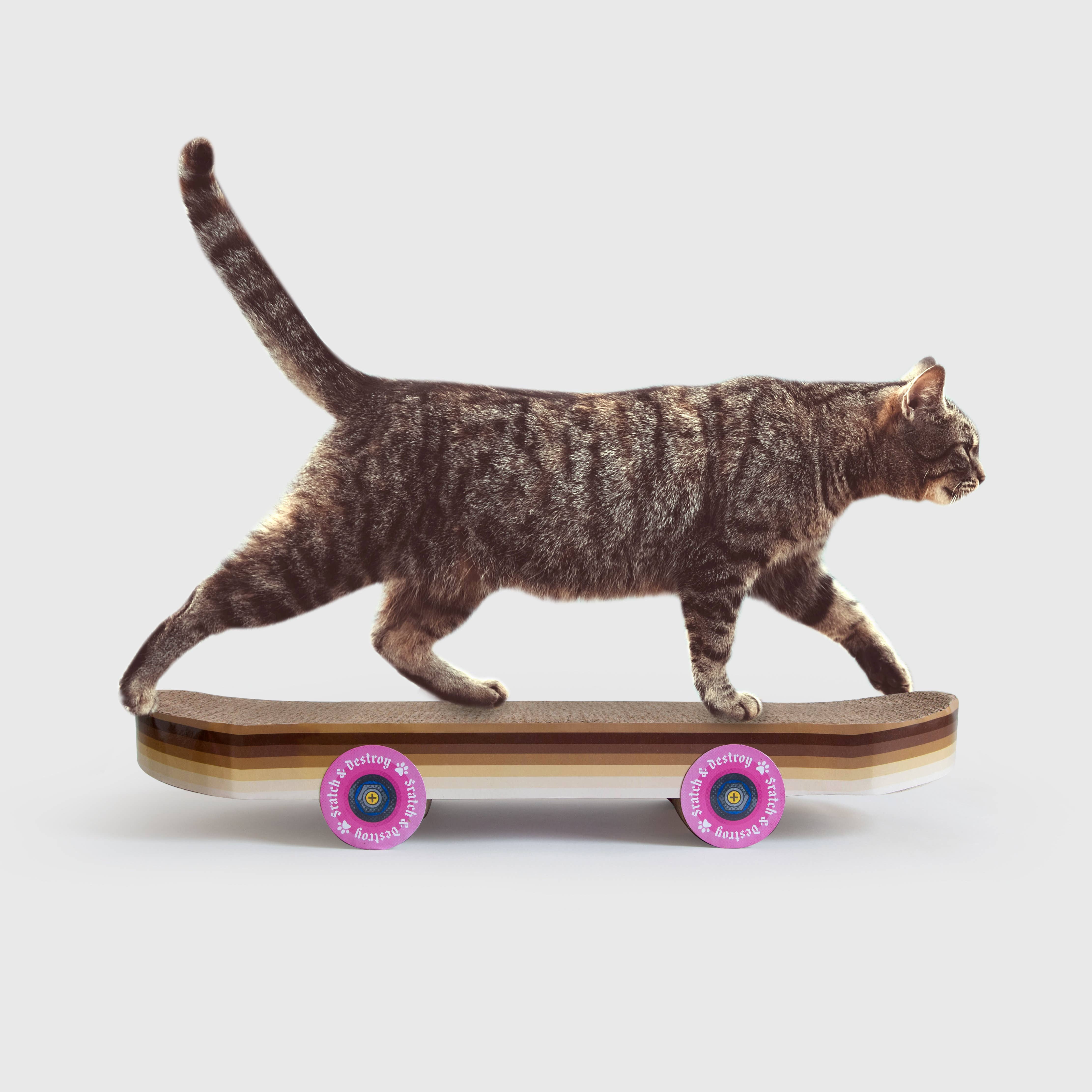 SUCK UK Ltd - Skateboard Cat Scratcher